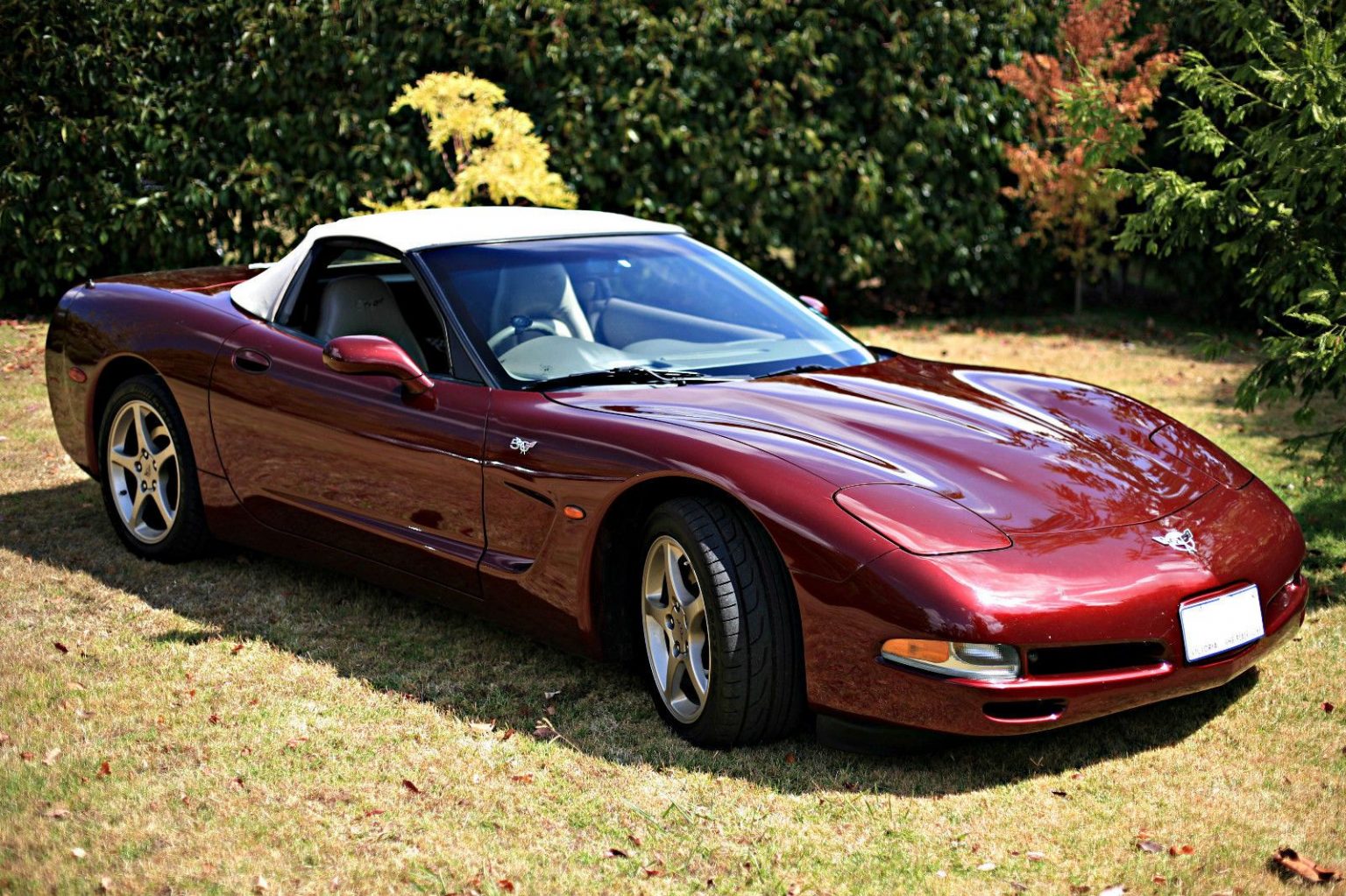 Magnetic Red 2001 Chevrolet Corvette