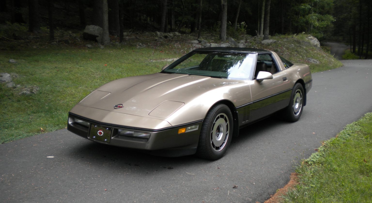 Light Bronze 1985 Chevrolet Corvette