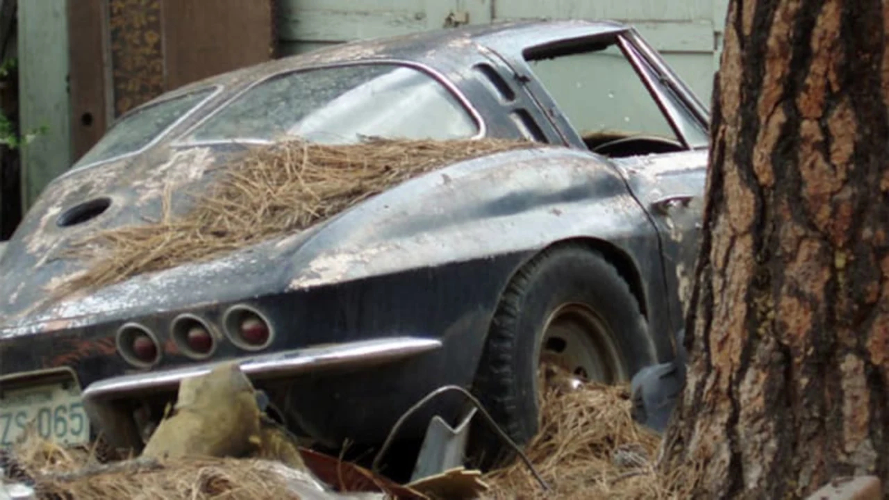 Google-Street-View-Corvette-Find